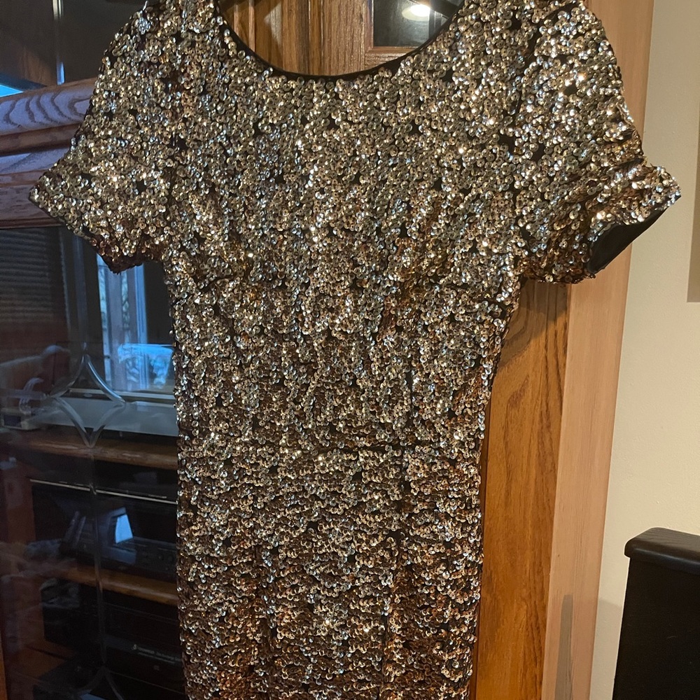 NWT Gold Holiday or Party Dress